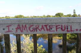 12238411_10102411120162845_2389045451841894316_o